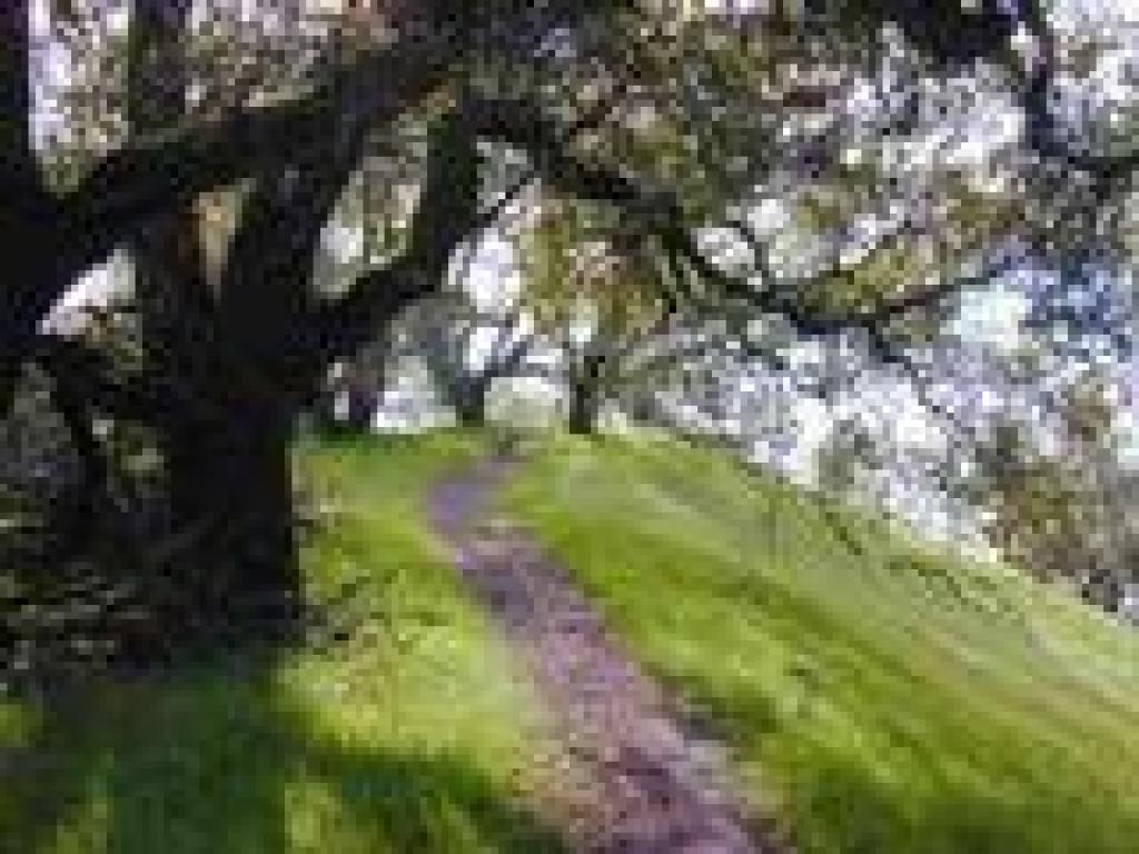 Reaching the hilltop