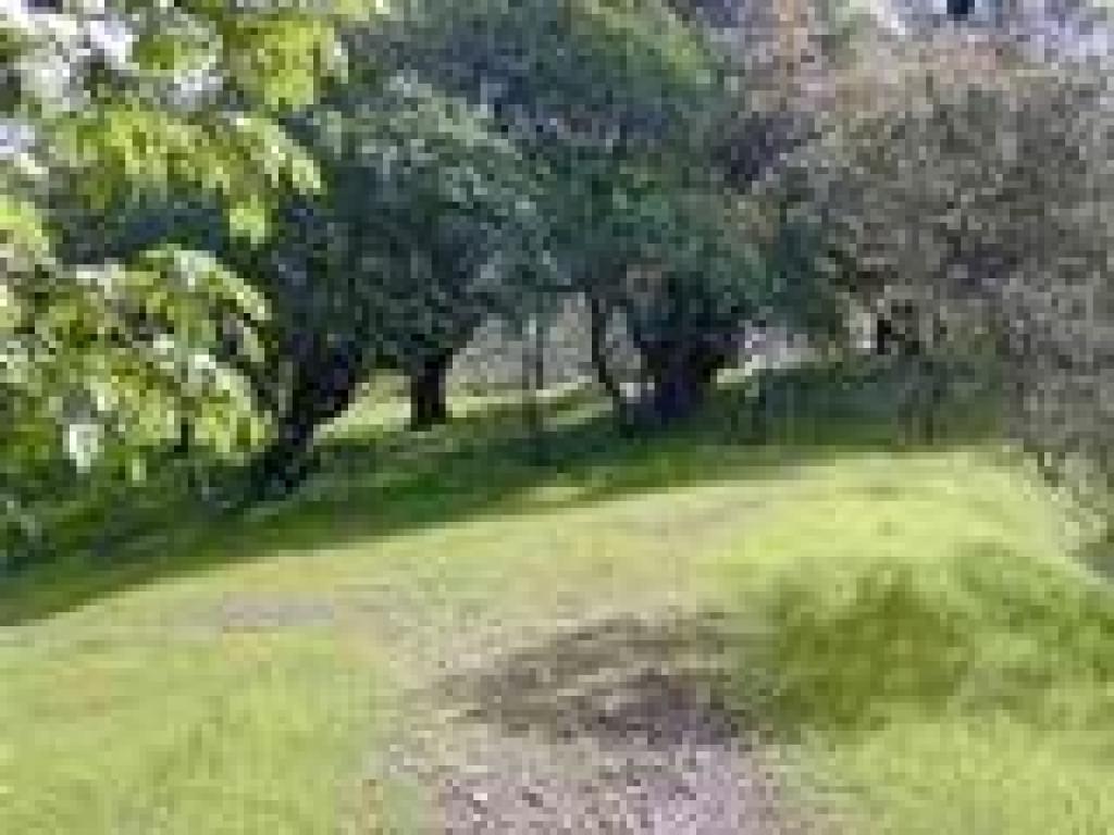 Park boundary