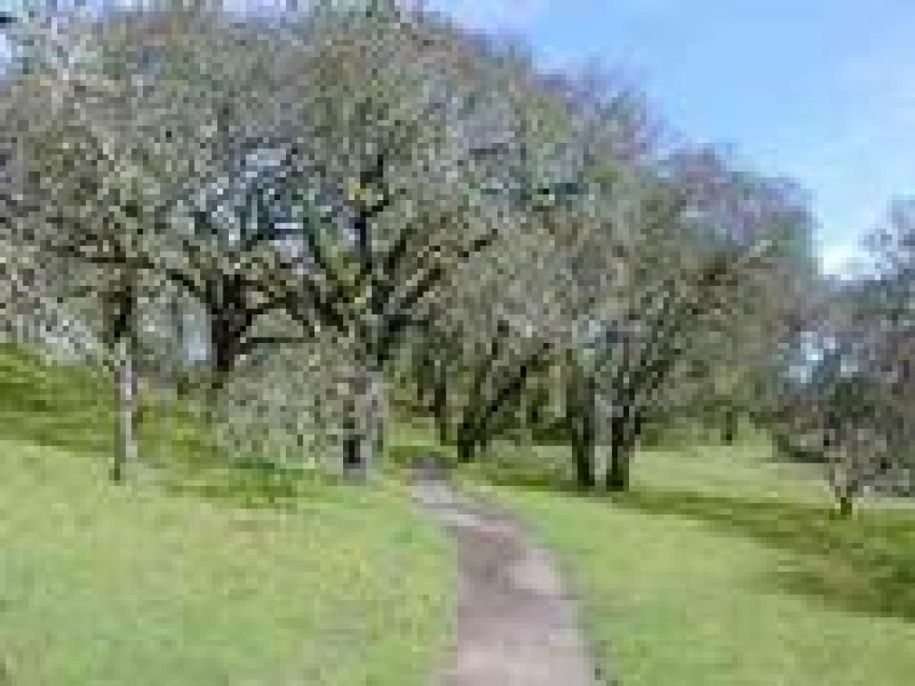 Oakwood Trail