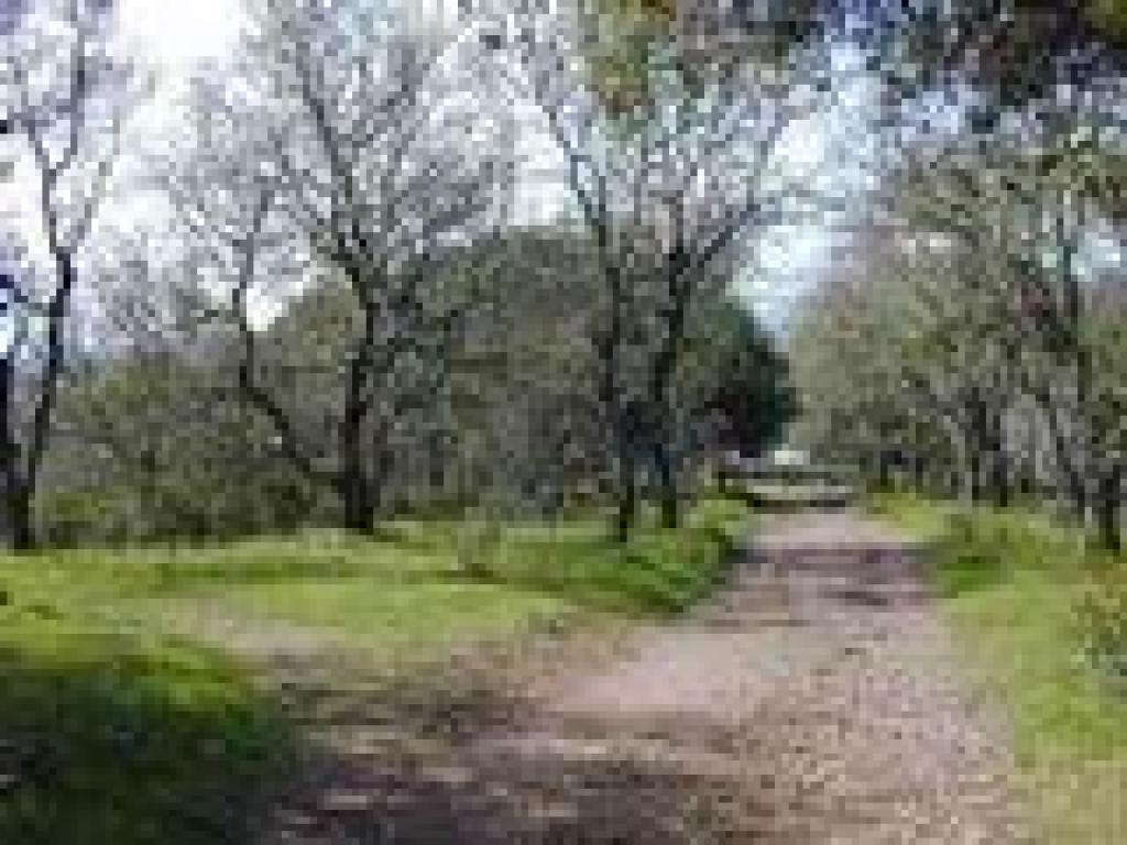 Junction