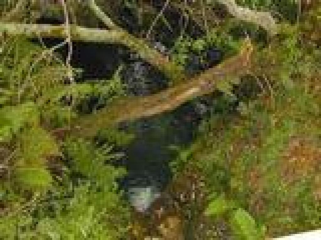 Creek