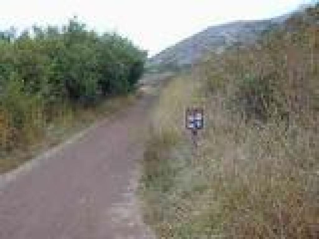 Bobcat Trail