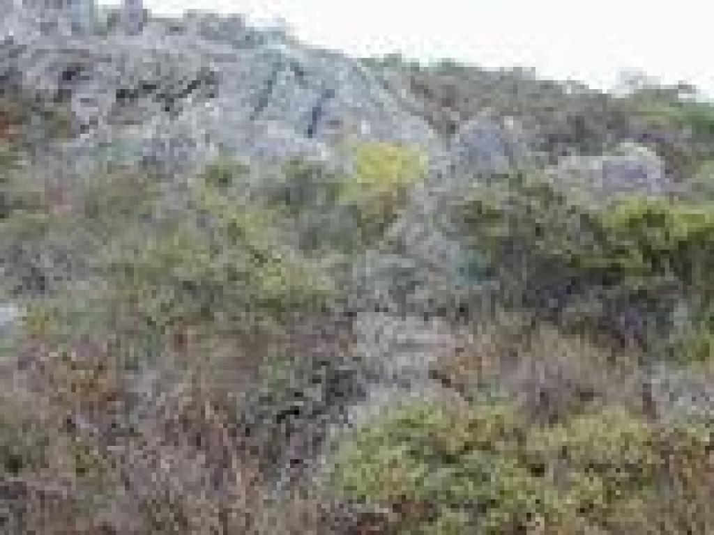 Rocks