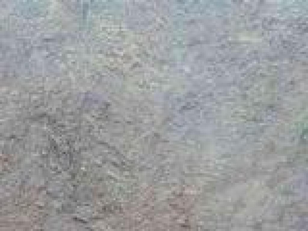 Another rock outcrop