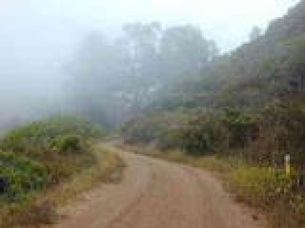 Fog