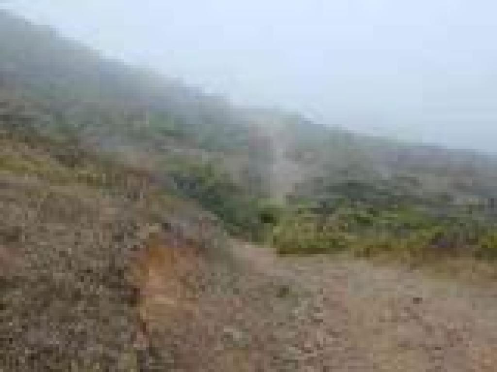 Narrow trail