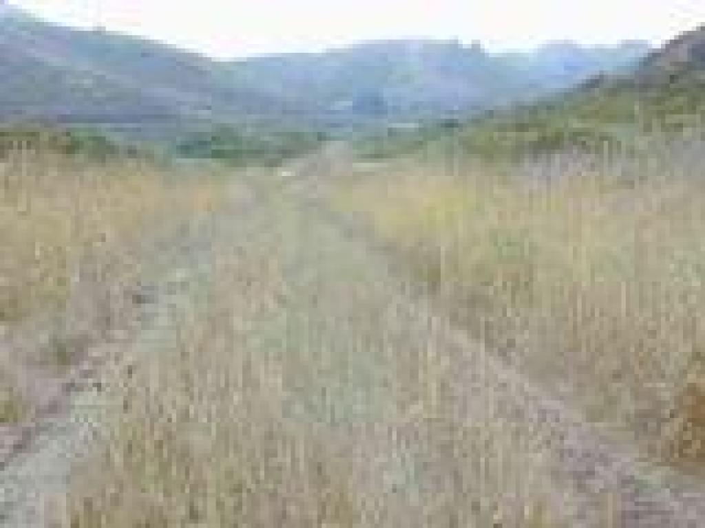 Trail reaches the valley