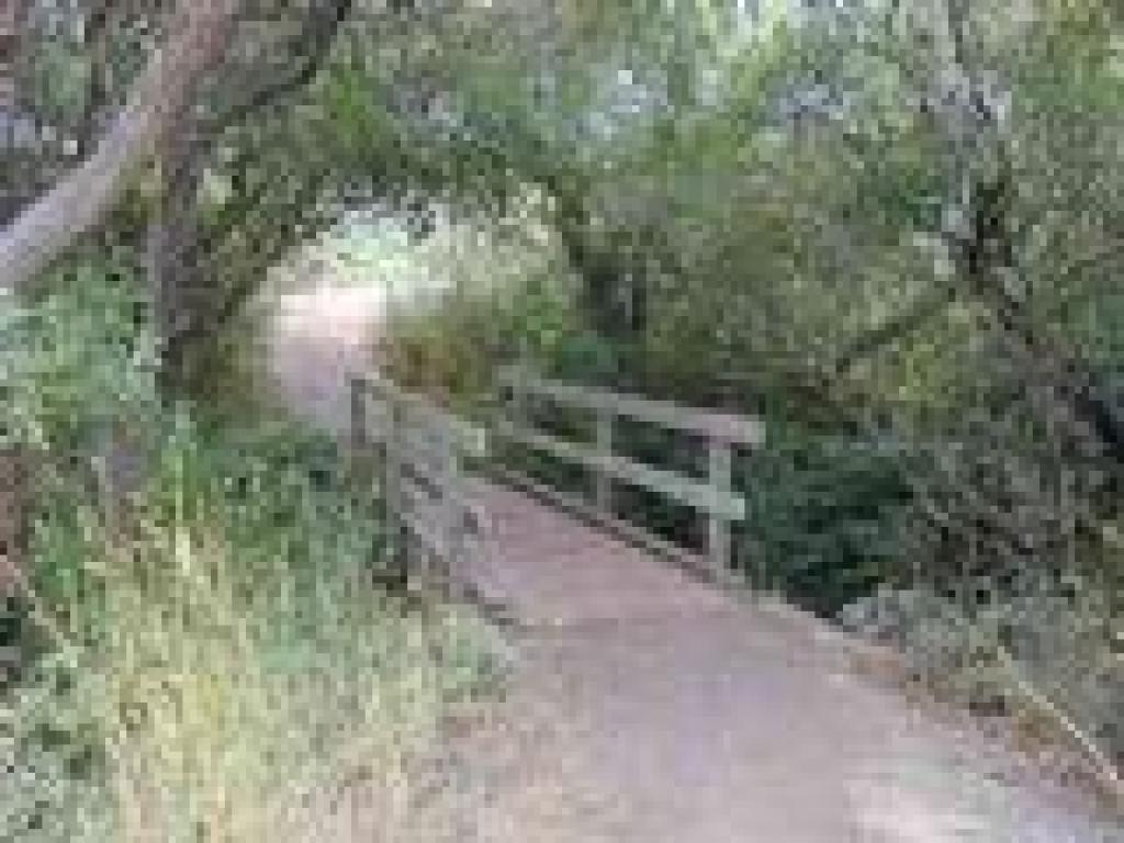 Returning to the trailhead