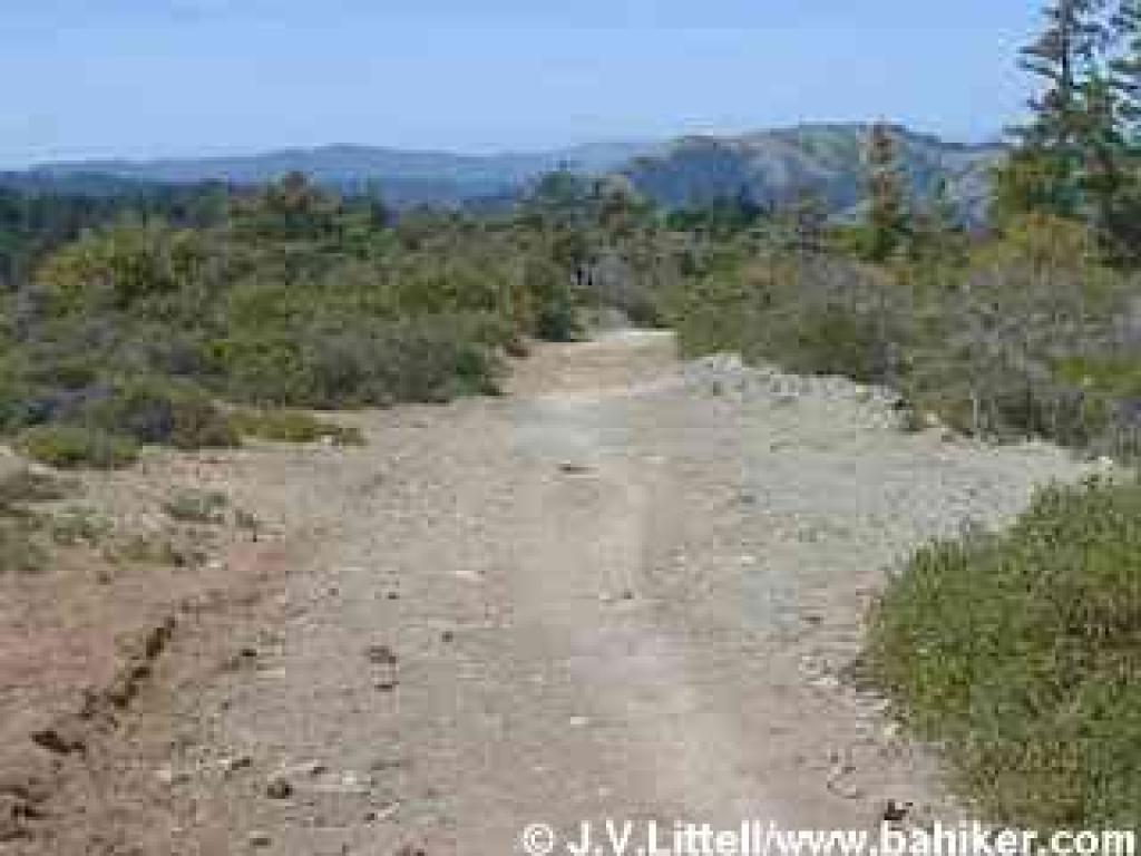 San Geronimo Fire Road