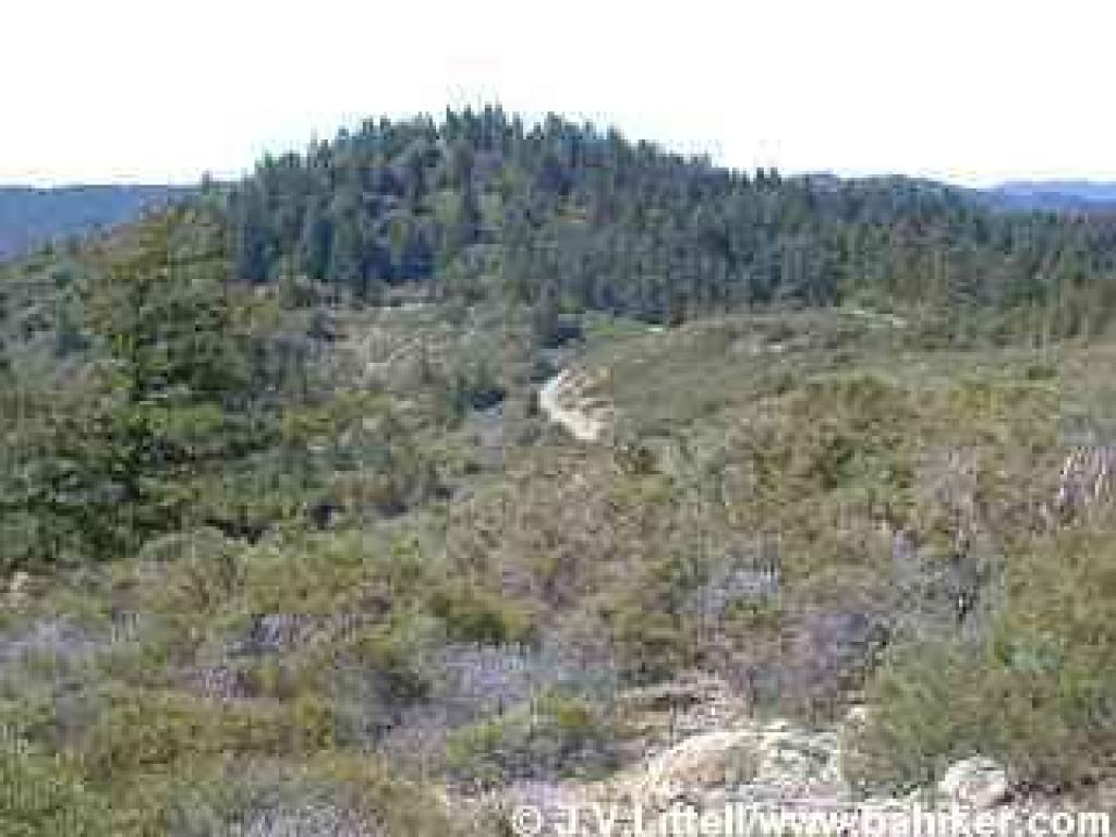 View of the forested San Geronimo Ridge