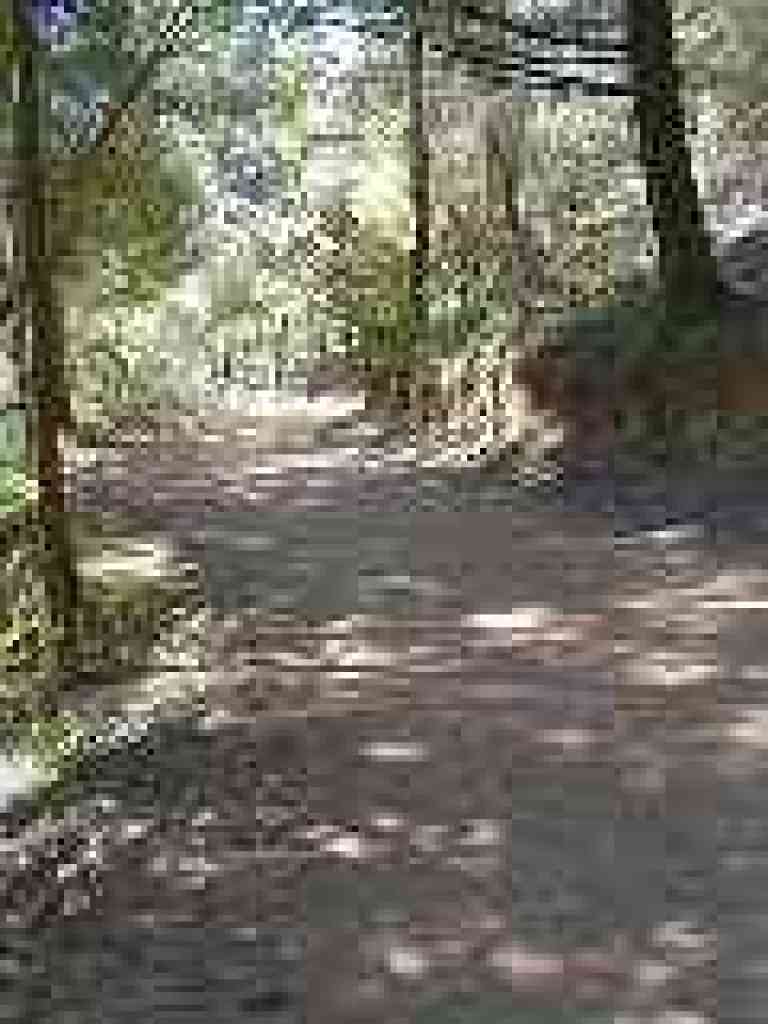 Uphill