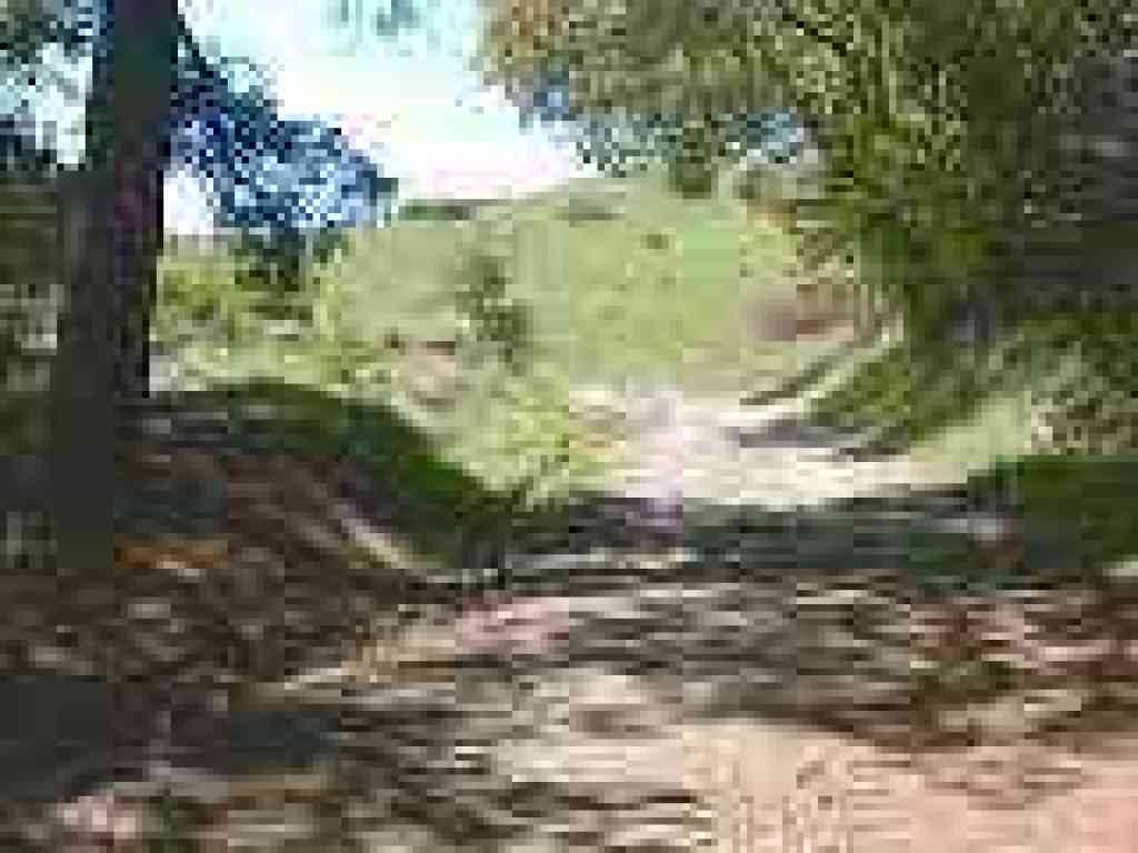 Emerging into grassland