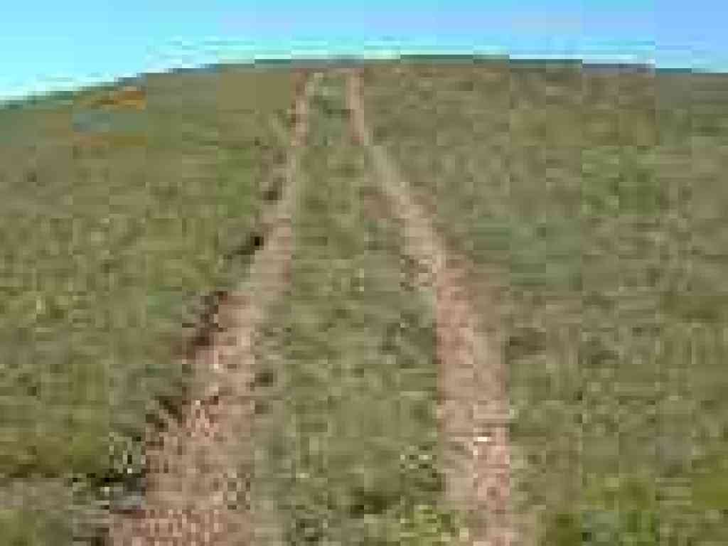 Side path