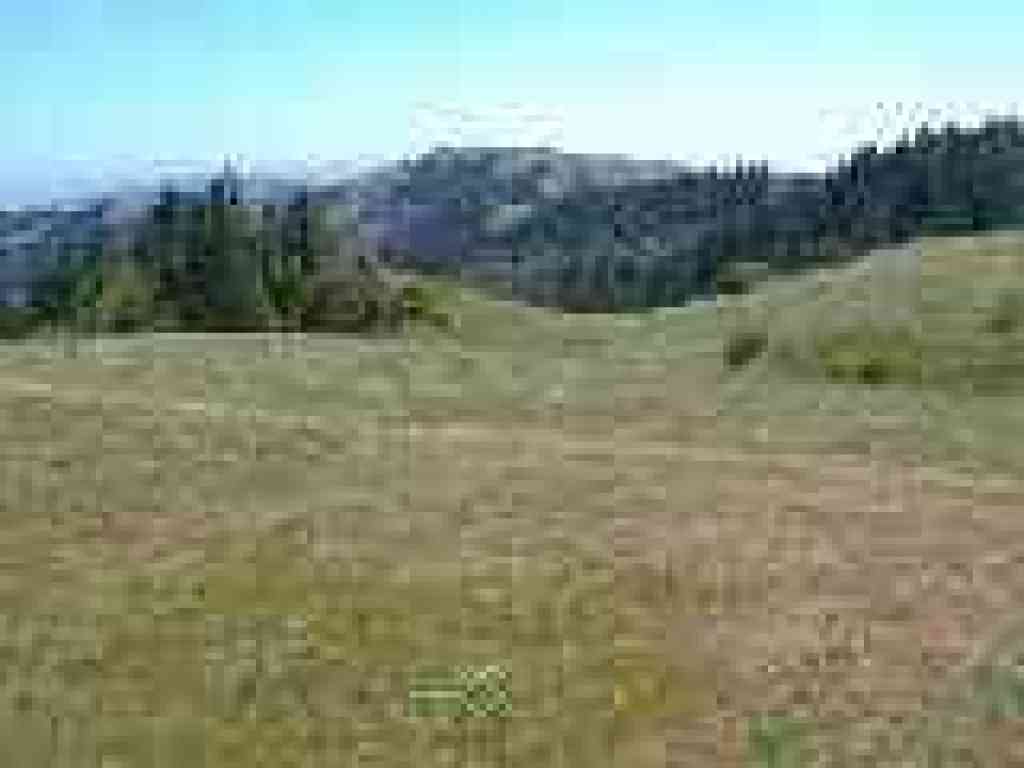 Looking east