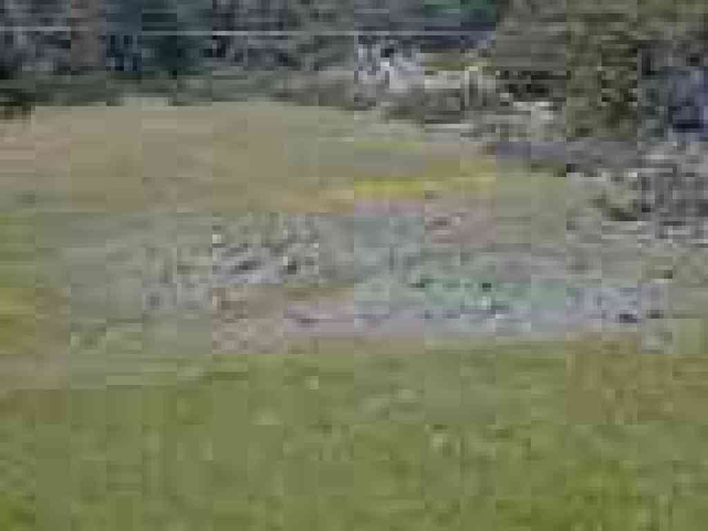 Serpentine outcrop