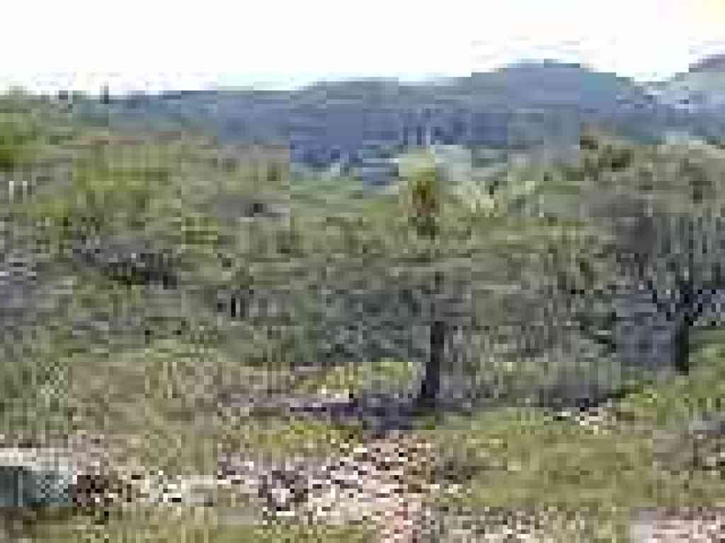 View south