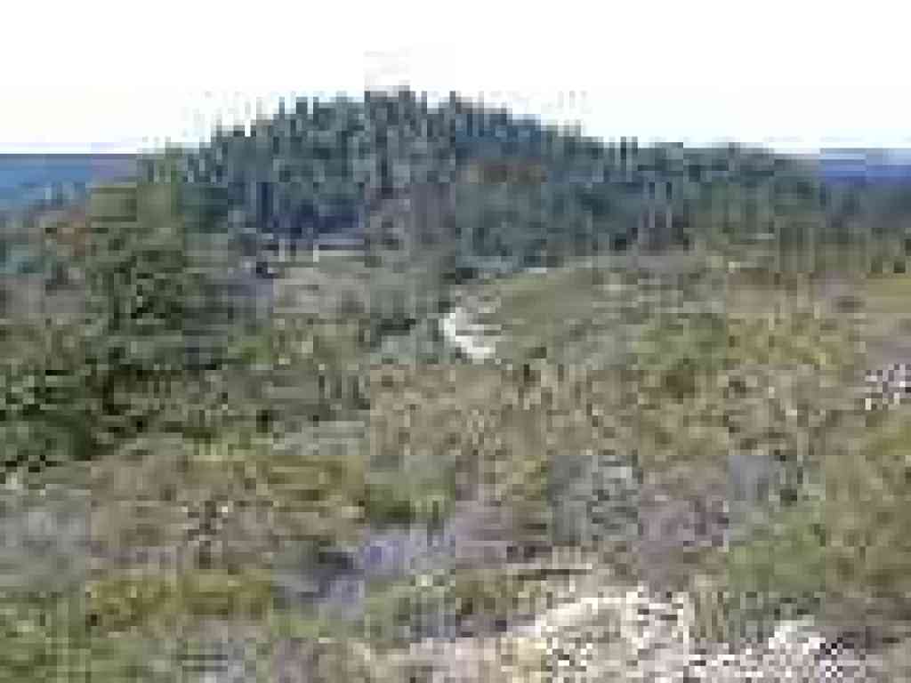 Green Hill