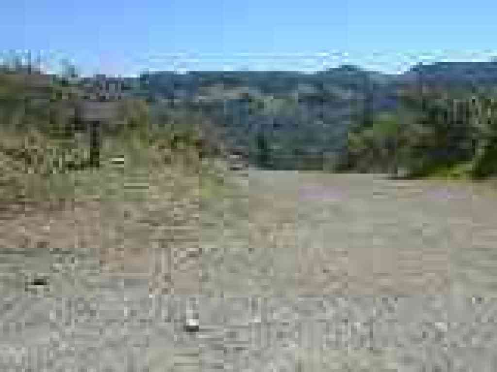 Pine Mountain Fire Road descends
