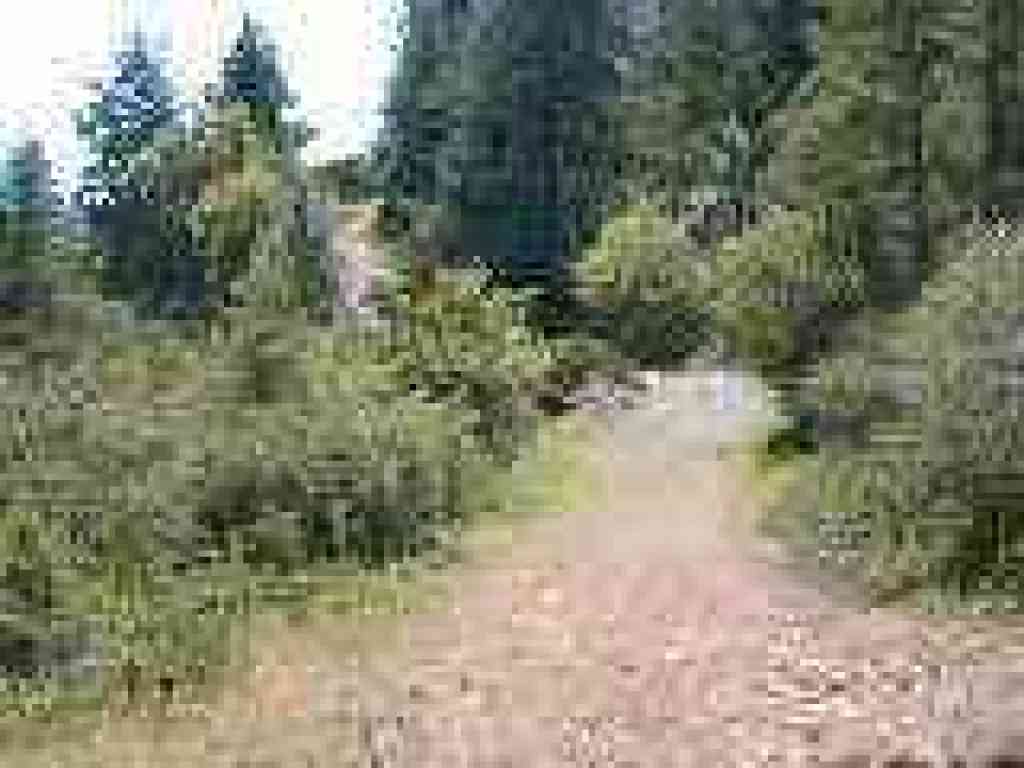 Steepest climb of the hike