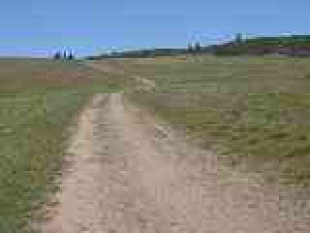 Returning to junction with Conifer Fire Road