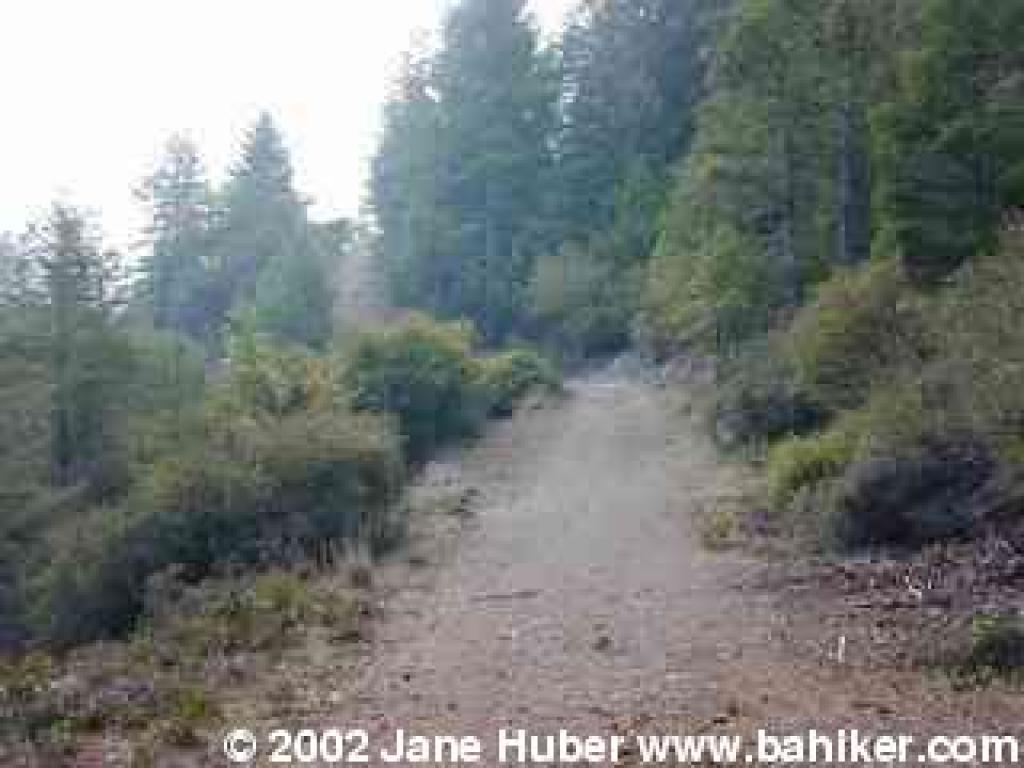 San Geronimo Fire Road