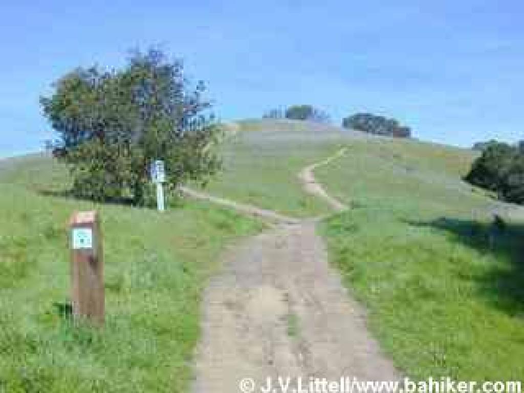 The intial climb from the trailhead