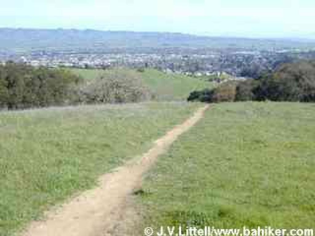 View east from a hilltop