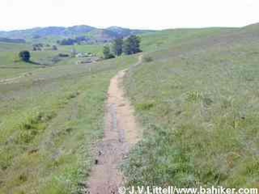 Ridge Trail