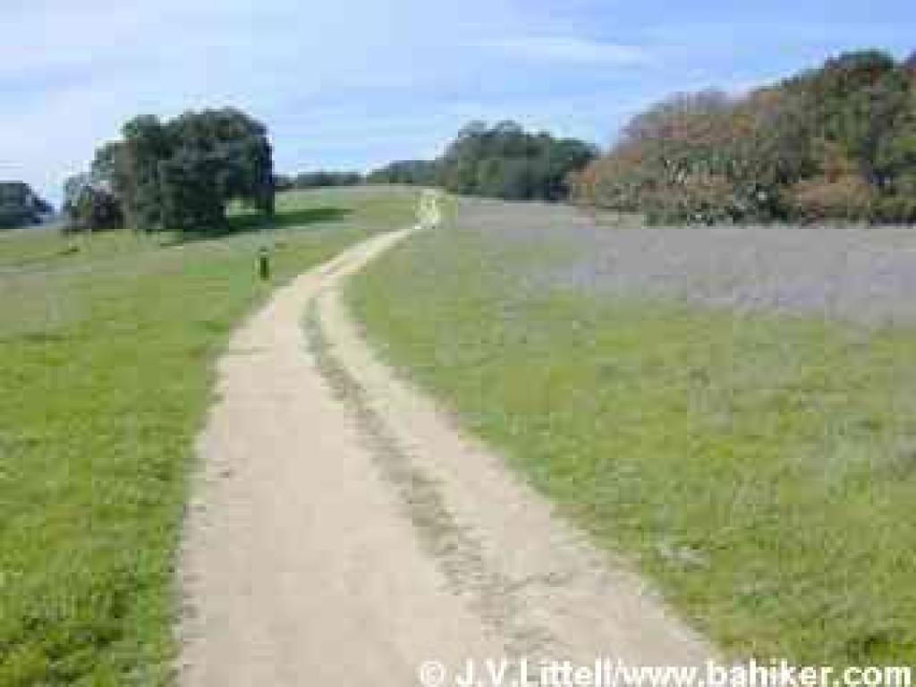 Panorama Trail, approaching Arroyo Trail