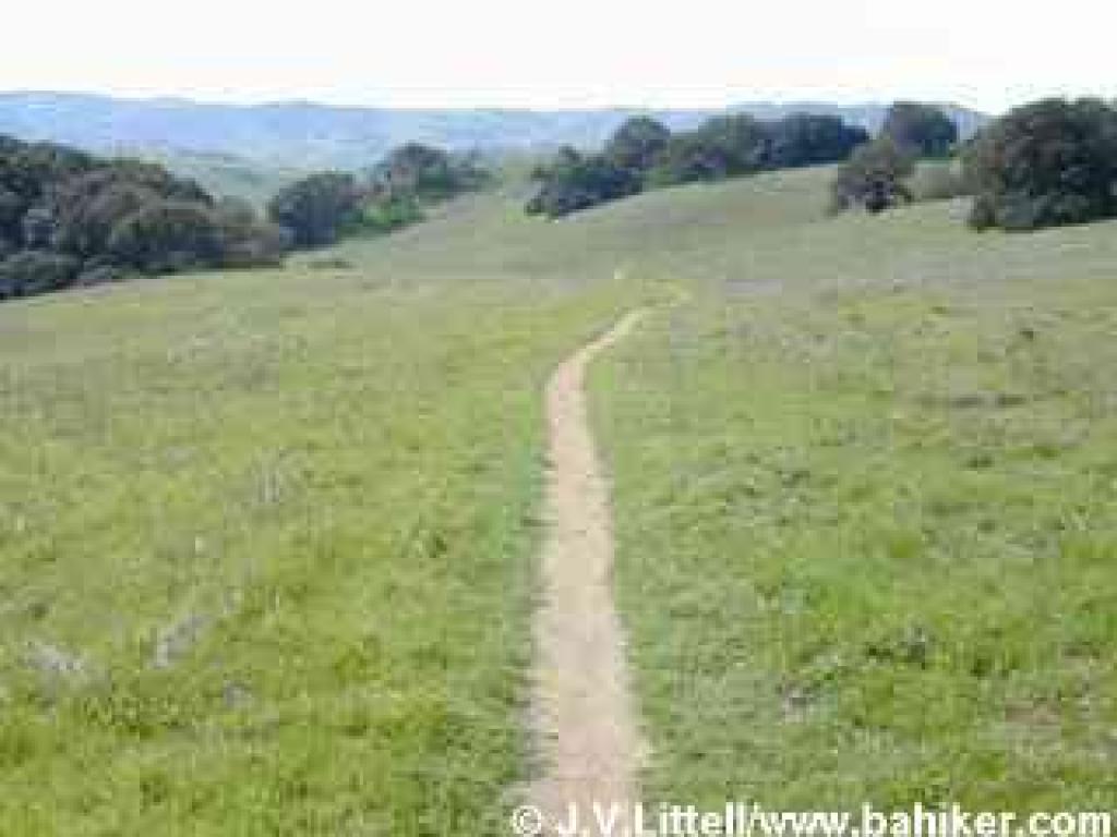 Descending on Arroyo Trail
