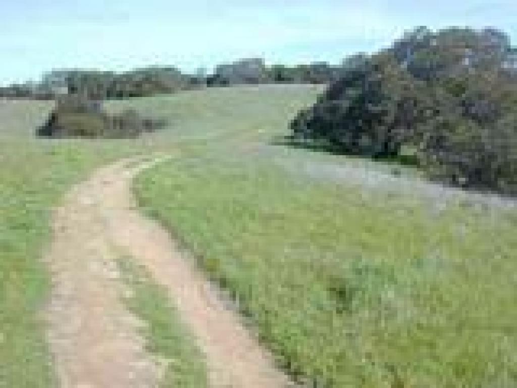 Panorama Trail