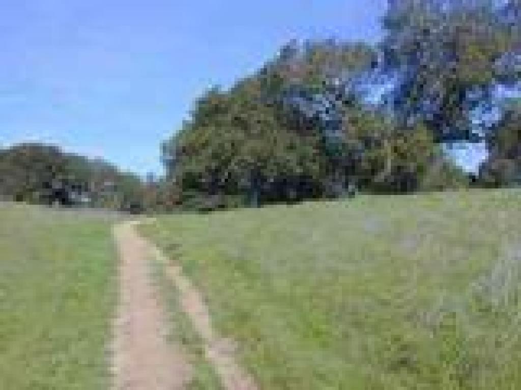 Pomo Trail