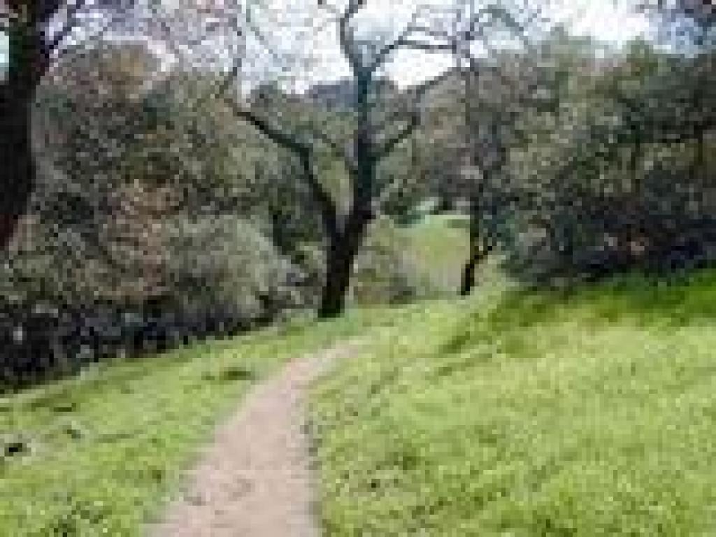 Pomo Trail