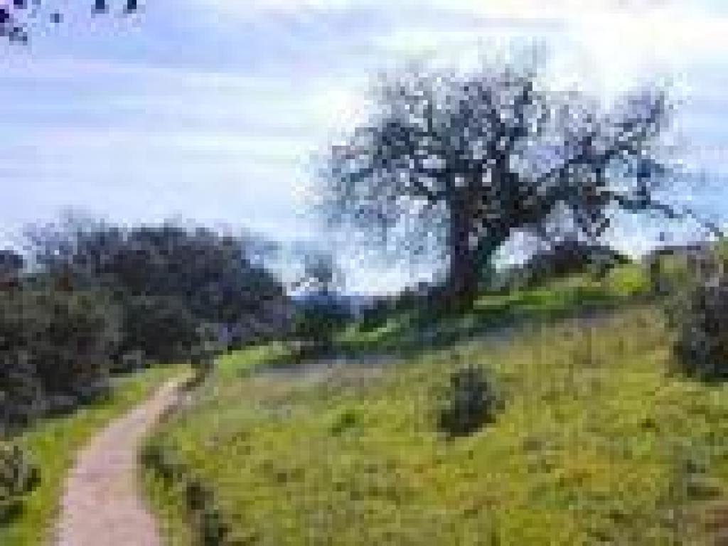 Entering grassland