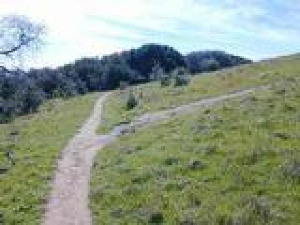 Spur to viewpoint