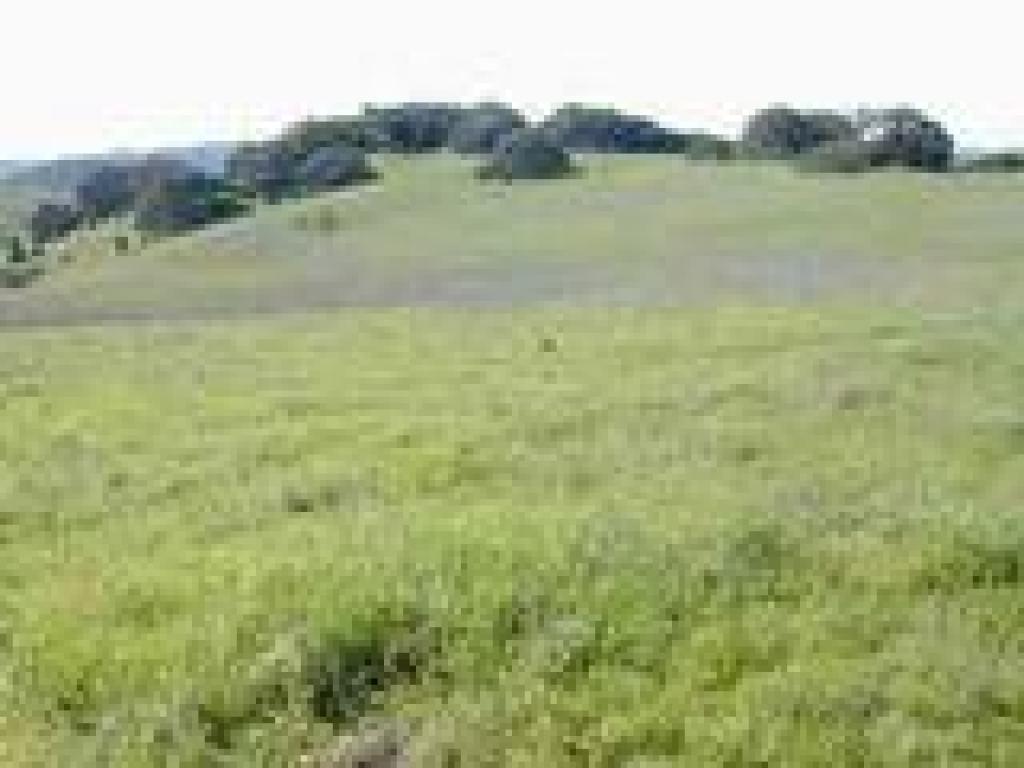 Rolling hills