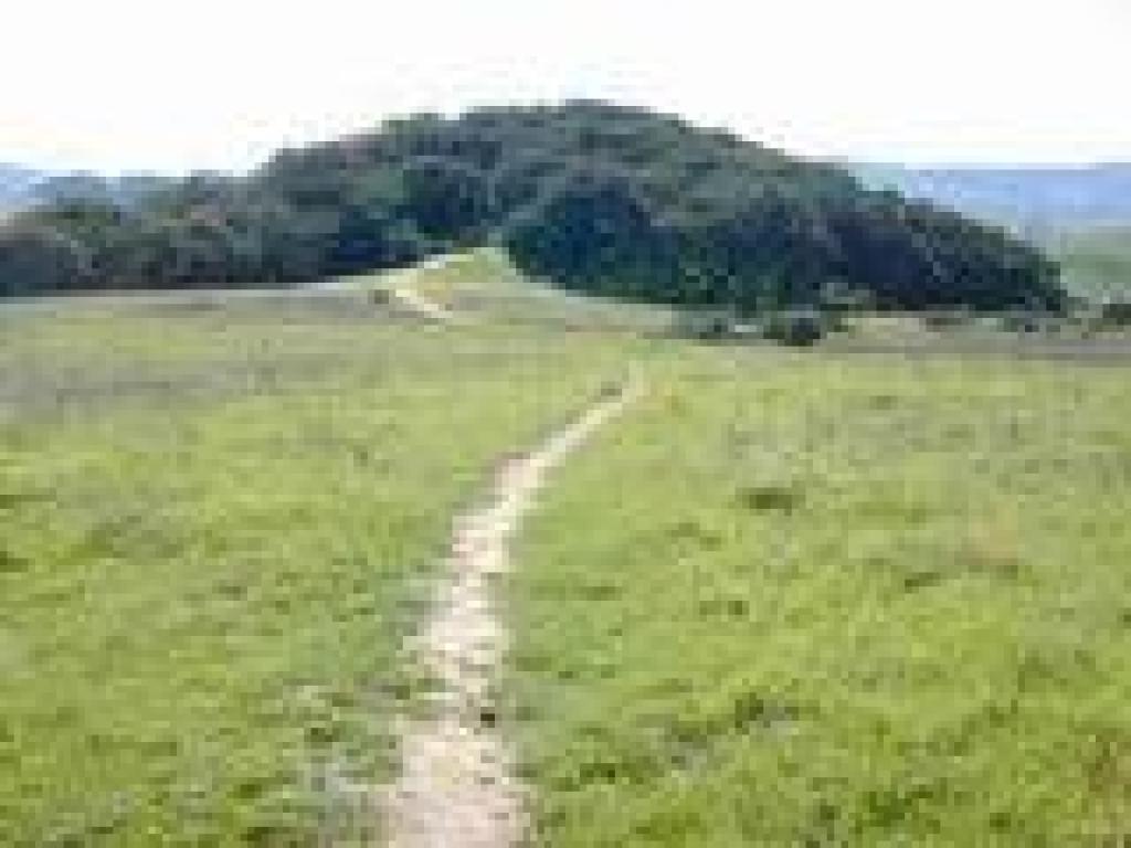 Path to Ridge Trail