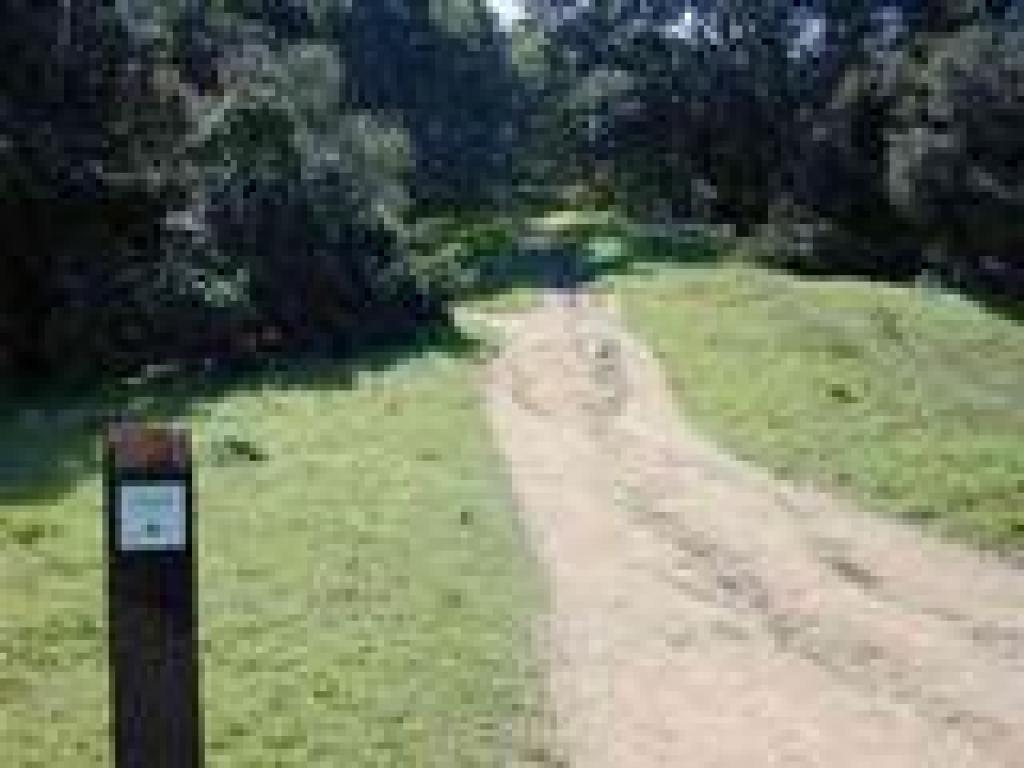 South Loop Trail