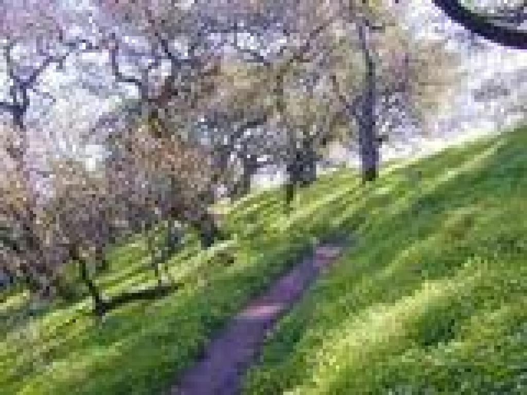 South Loop Trail