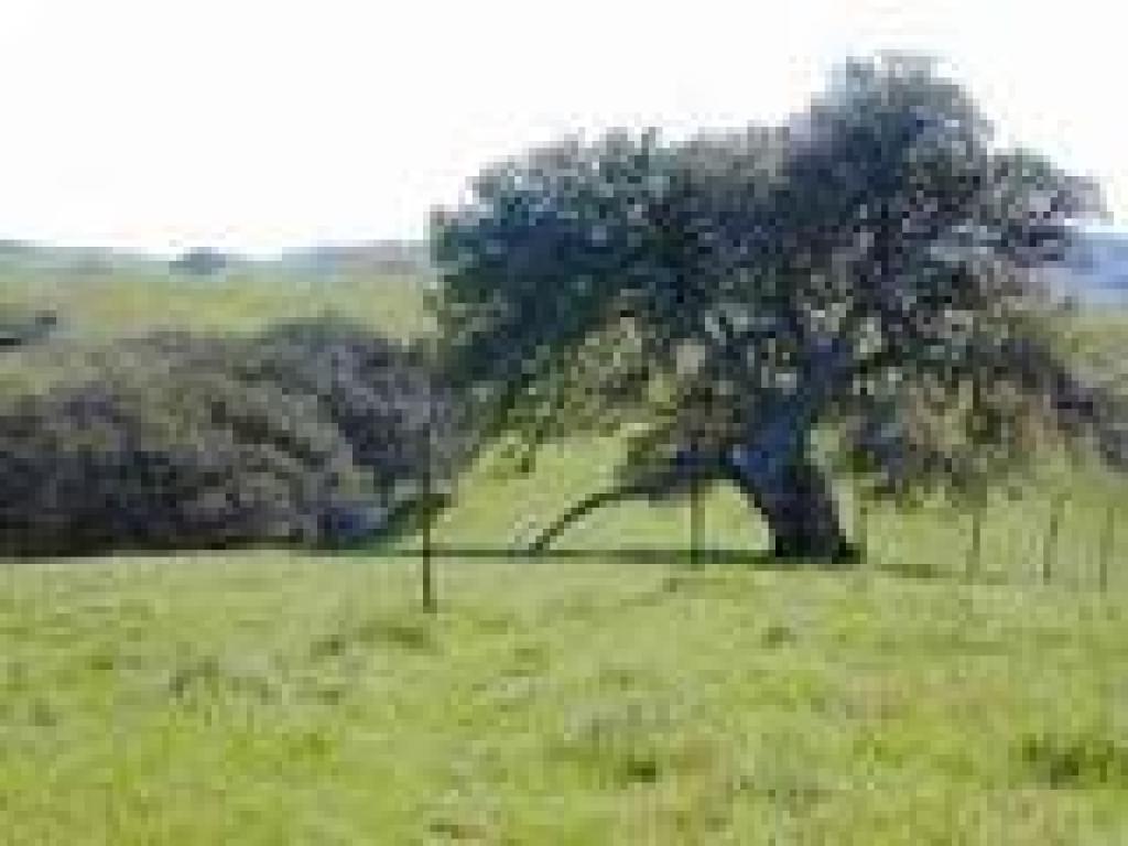 At the park boundary