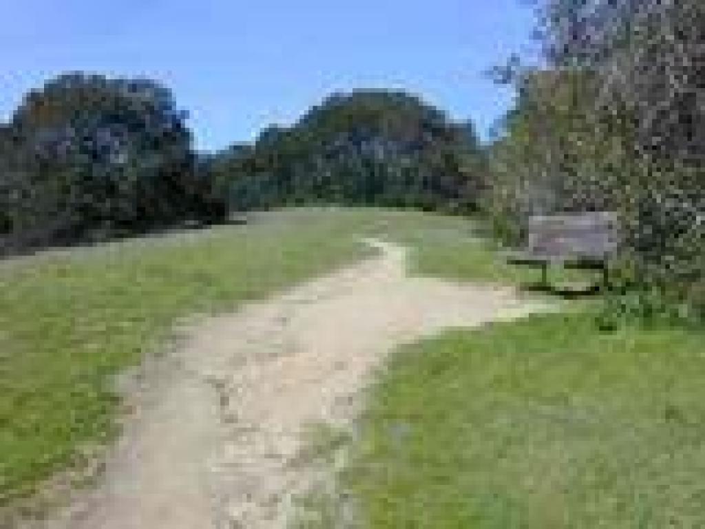 Bench