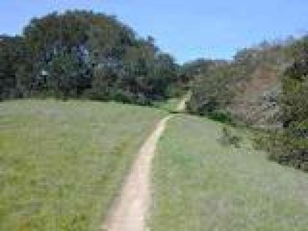 South Loop Trail