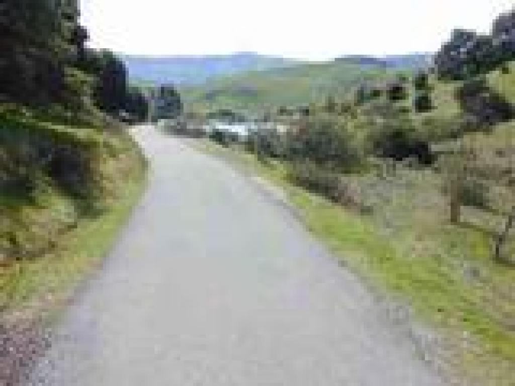 Ridge Trail