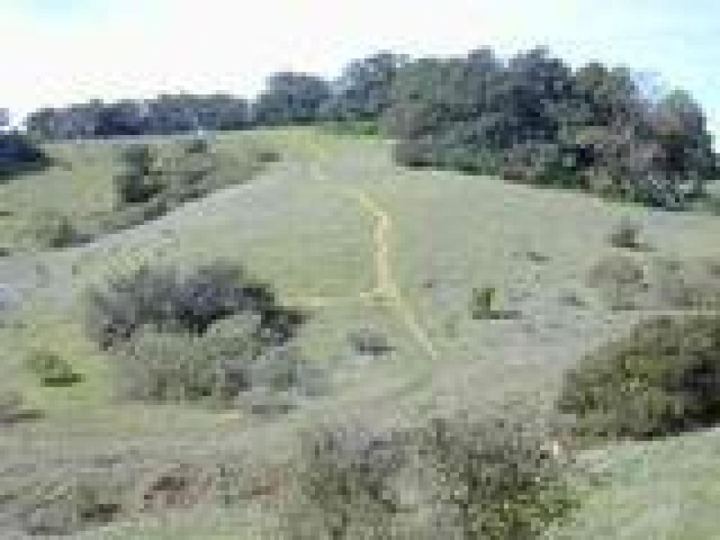 Cattail Trail is visible to the right