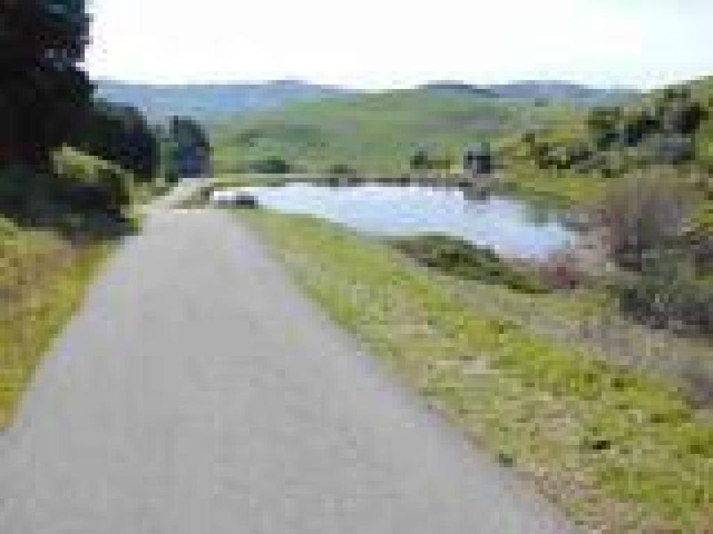 Approaching fish pond