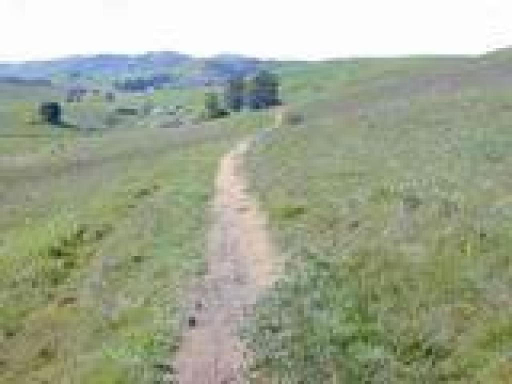 Ridge Trail