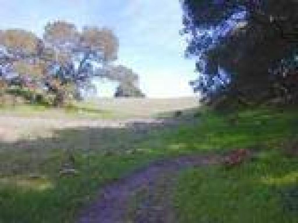 Trail curves right