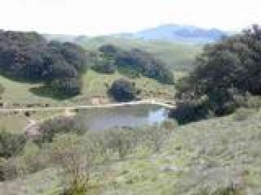 View downhill
