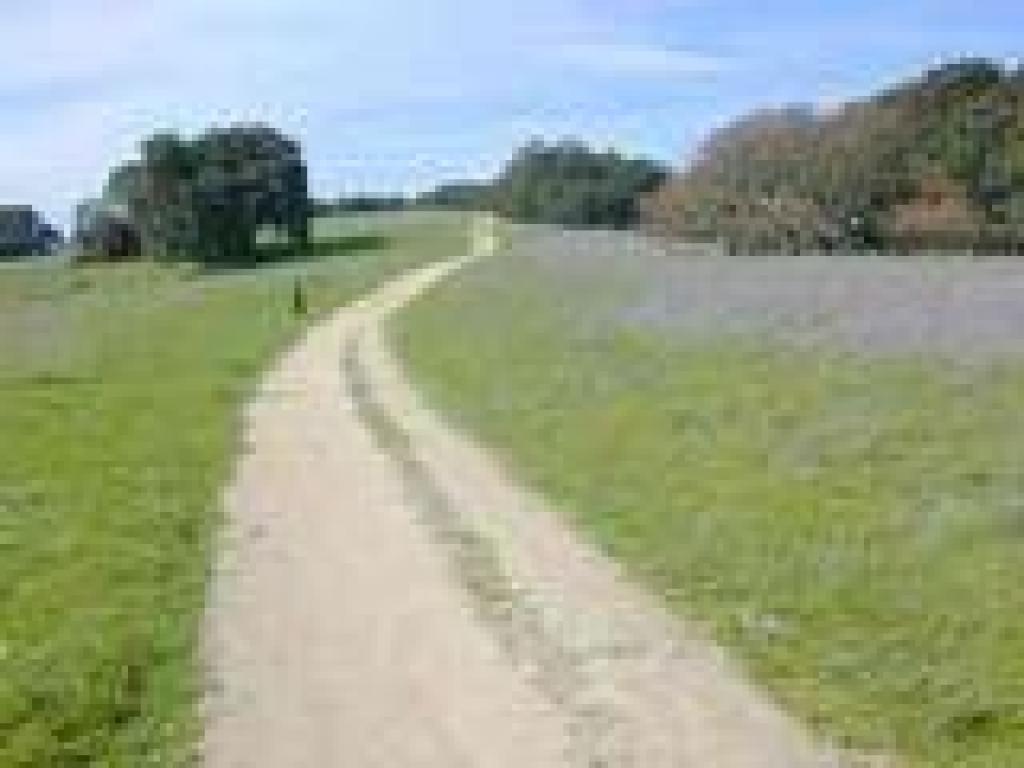Panorama Trail