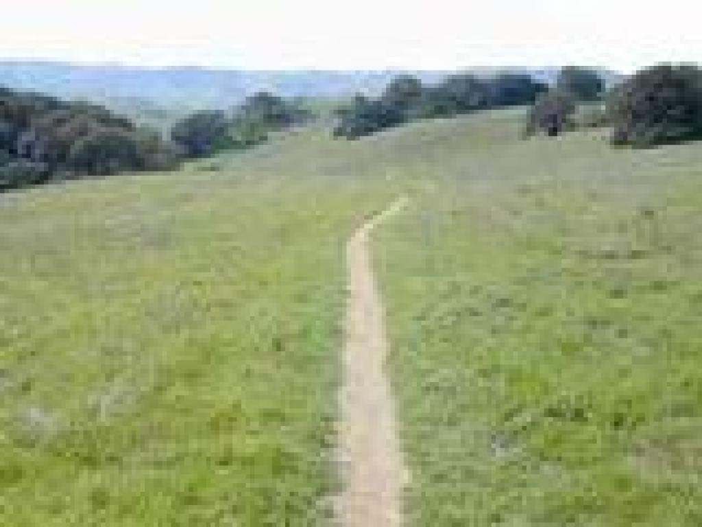 Arroyo Trail